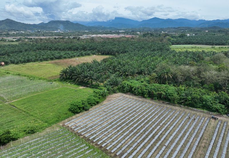 Agriculture Land @ Batang Kali, Hulu Selangor 