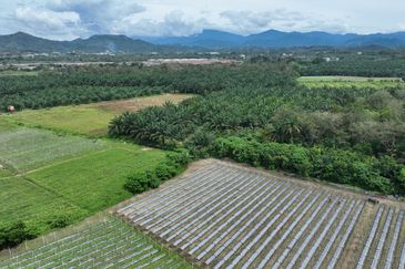Agriculture Land @ Batang Kali, Hulu Selangor 