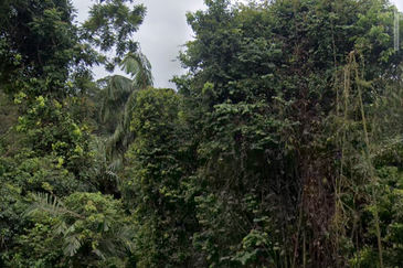 Riverside Land @ Peretak, Fraser's Hill Rd