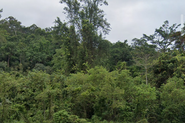 Riverside Land @ Peretak, Fraser's Hill Rd