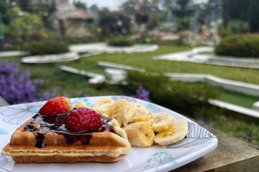 Luxury Resort Bangalow @ Fraser's Hill, Pahang