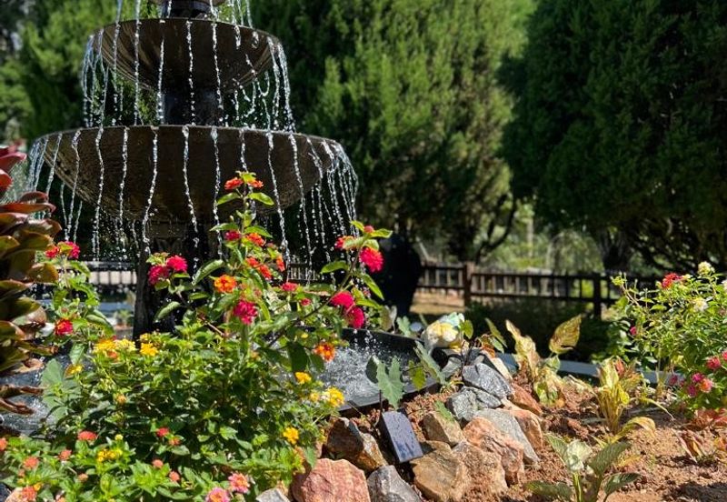 Luxury Resort Bangalow @ Fraser's Hill, Pahang