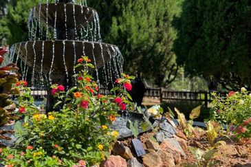 Luxury Resort Bangalow @ Fraser's Hill, Pahang