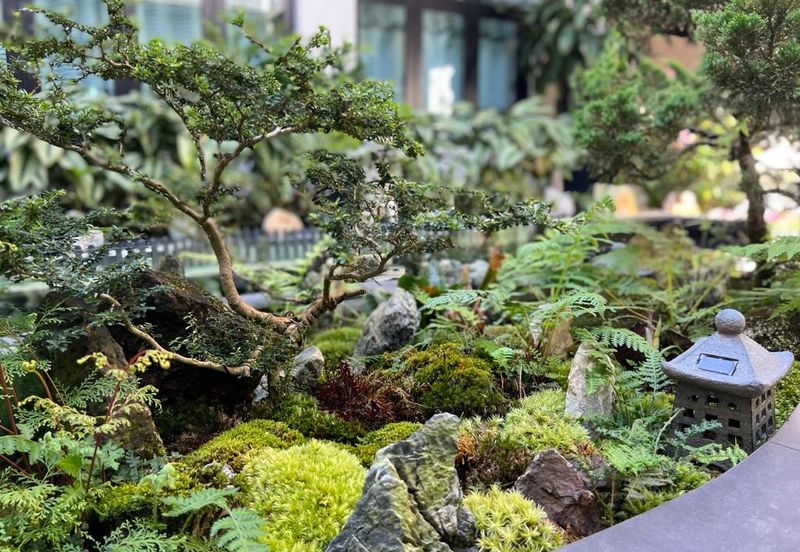 Luxury Resort Bangalow @ Fraser's Hill, Pahang