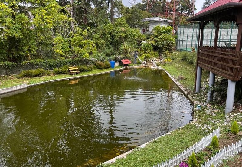 Luxury Resort Bangalow @ Fraser's Hill, Pahang