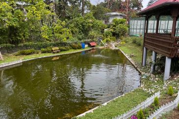 Luxury Resort Bangalow @ Fraser's Hill, Pahang