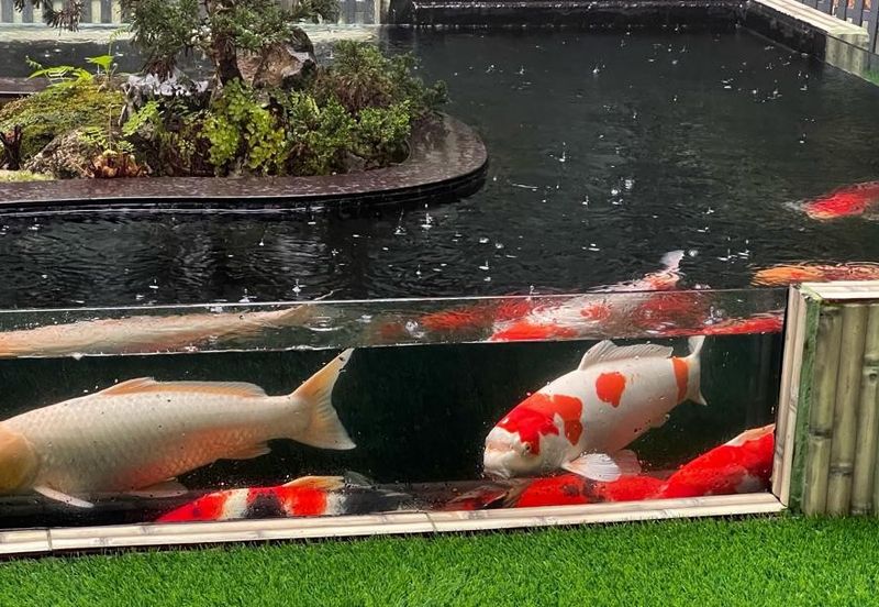 Luxury Resort Bangalow @ Fraser's Hill, Pahang