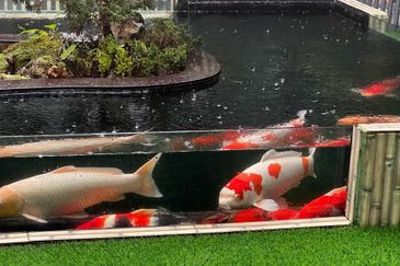 Luxury Resort Bangalow @ Fraser's Hill, Pahang