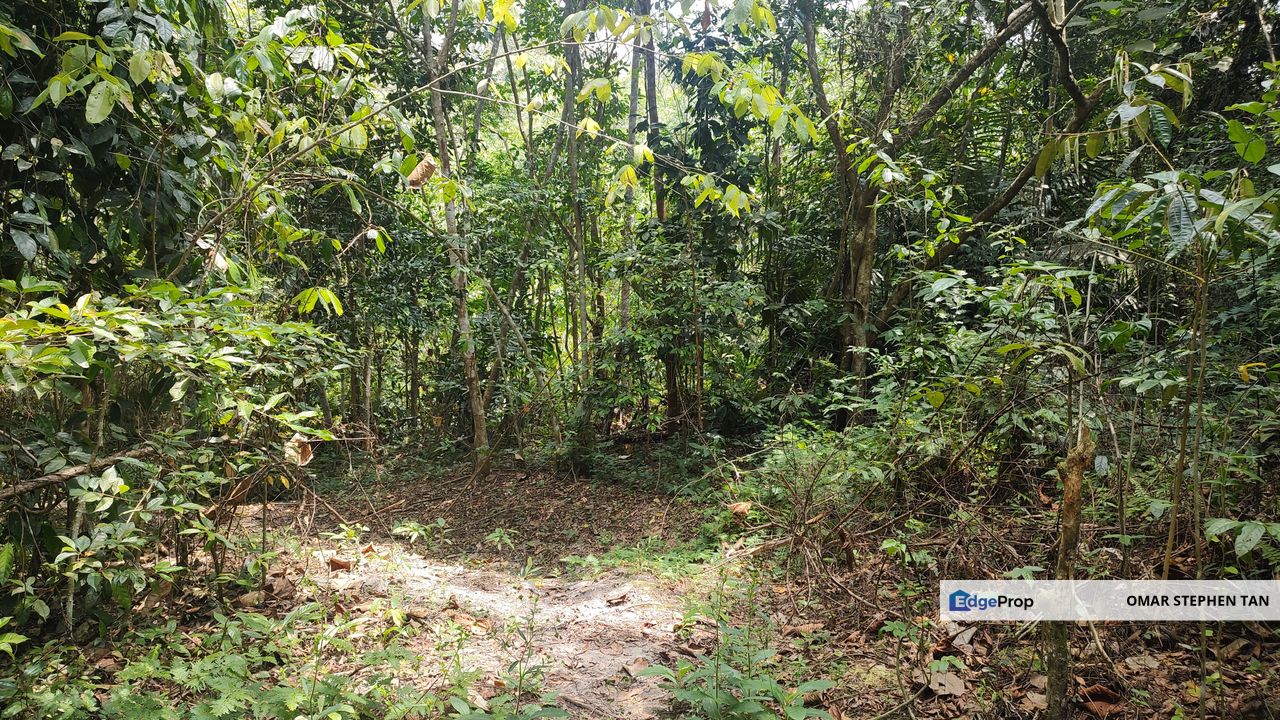 Stream Land @ Hulu Bernam, Tanjung Malim Perak, Perak, Tanjung Malim