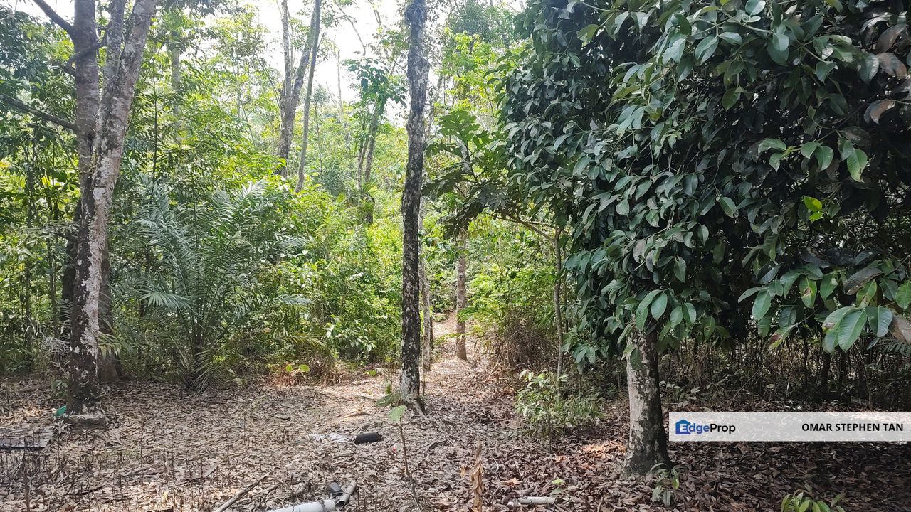 Stream Land @ Hulu Bernam, Tanjung Malim Perak, Perak, Tanjung Malim