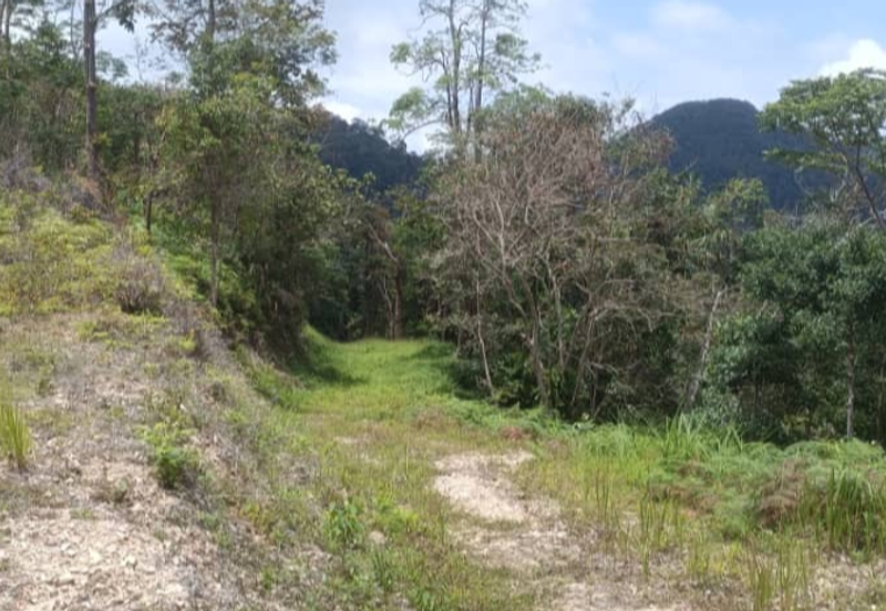 Agriculture Land @ Teras Tras Bentong Raub Pahang