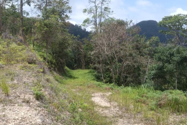 Agriculture Land @ Teras Tras Bentong Raub Pahang