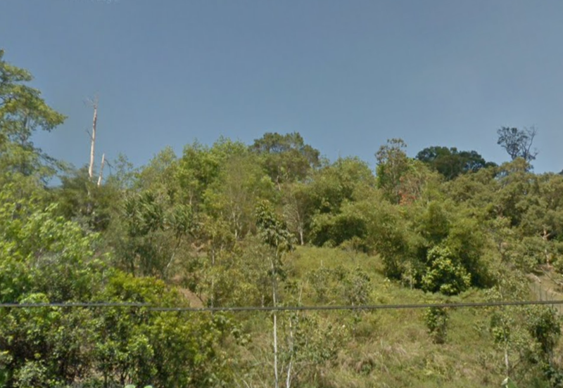 Agriculture Land @ Teras Tras Bentong Raub Pahang