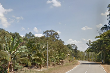 Agriculture Land @ Teras Tras Bentong Raub Pahang