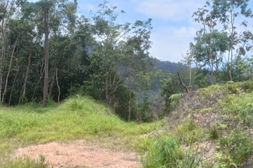 Agriculture Land @ Teras Tras Bentong Raub Pahang