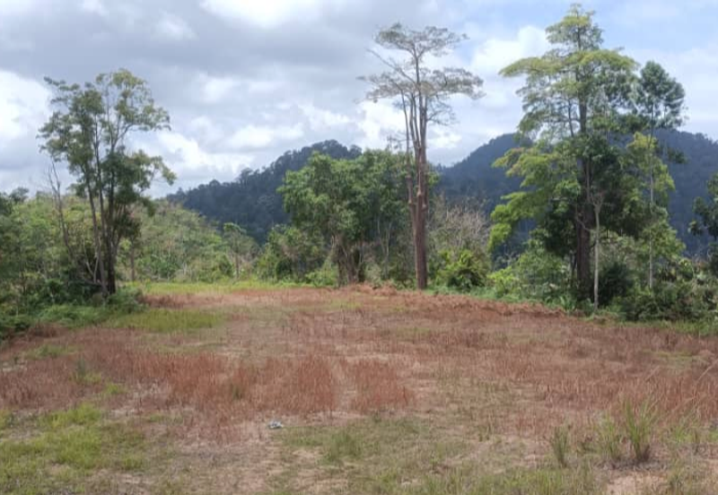 Agriculture Land @ Teras Tras Bentong Raub Pahang