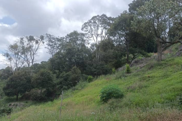 Agriculture Land @ Teras Tras Bentong Raub Pahang