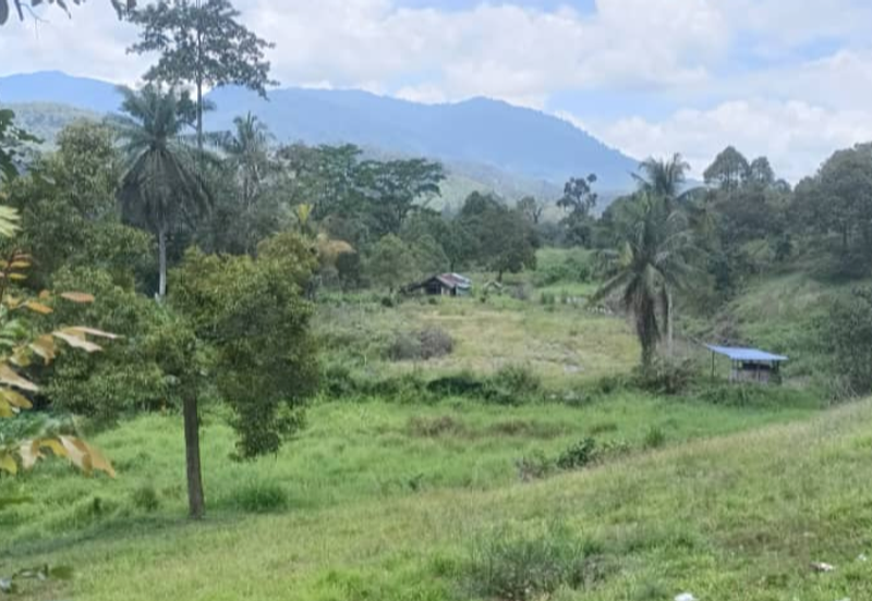 Agriculture Land @ Teras Tras Bentong Raub Pahang