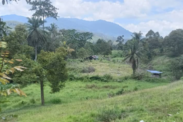 Agriculture Land @ Teras Tras Bentong Raub Pahang