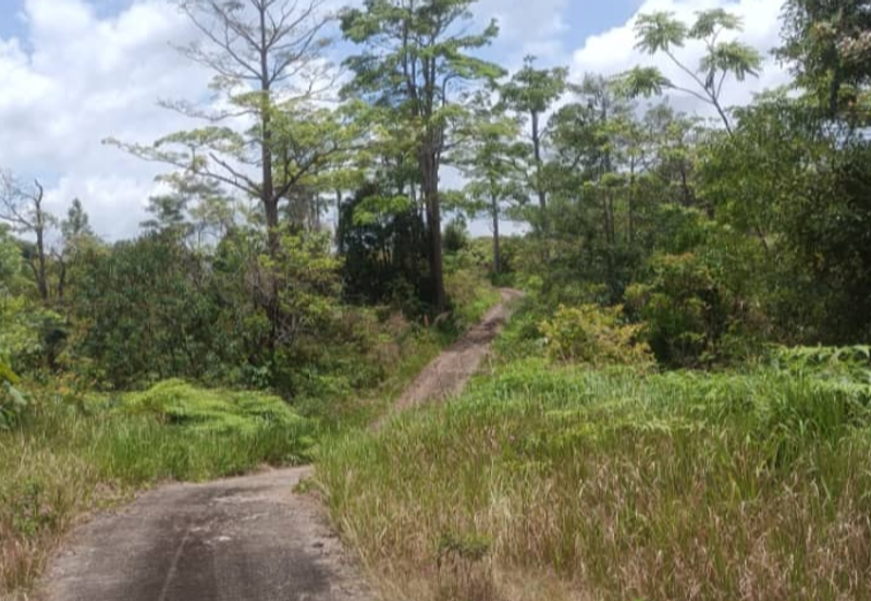 Agriculture Land @ Teras Tras Bentong Raub Pahang