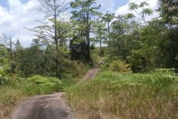 Agriculture Land @ Teras Tras Bentong Raub Pahang