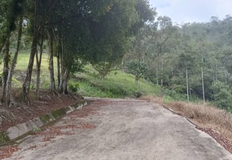 Agriculture Land @ Teras Tras Bentong Raub Pahang