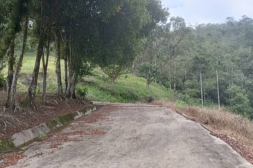 Agriculture Land @ Teras Tras Bentong Raub Pahang