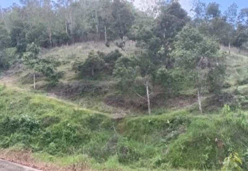 Agriculture Land @ Teras Tras Bentong Raub Pahang