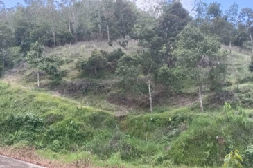 Agriculture Land @ Teras Tras Bentong Raub Pahang