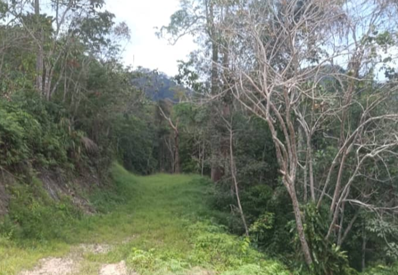 Agriculture Land @ Teras Tras Bentong Raub Pahang