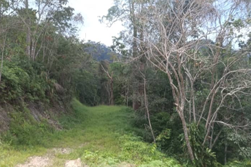 Agriculture Land @ Teras Tras Bentong Raub Pahang