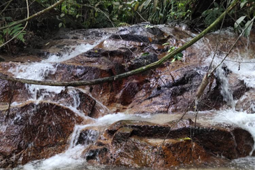 Stream Agriculture Land @ Hulu Langat Selangor 