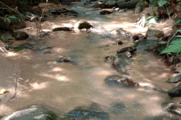 Stream Agriculture Land @ Hulu Langat Selangor 