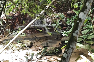 Stream Agriculture Land @ Hulu Langat Selangor 