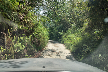Stream Agriculture Land @ Hulu Langat Selangor 