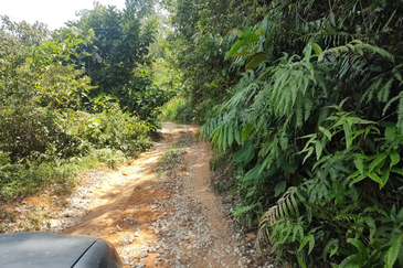 Stream Agriculture Land @ Hulu Langat Selangor 