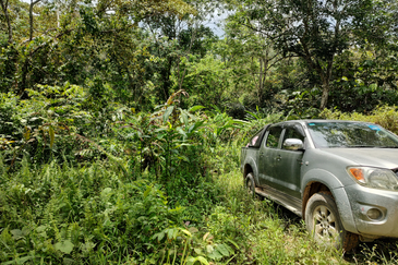Stream Agriculture Land @ Hulu Langat Selangor 
