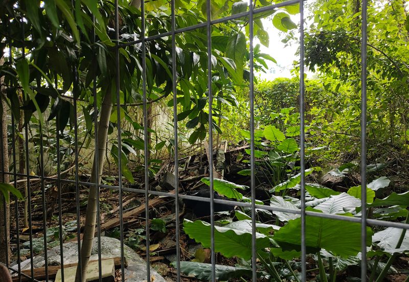 Lakeside Bangalow Land @ Ampang Hilir, KL 