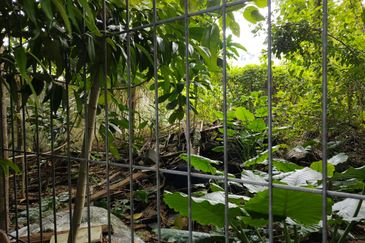 Lakeside Bangalow Land @ Ampang Hilir, KL 