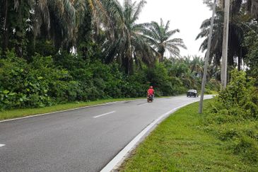 Agriculture Land @ Bukit Merah, Semanggol Perak