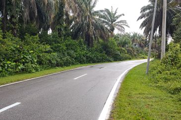 Agriculture Land @ Bukit Merah, Semanggol Perak