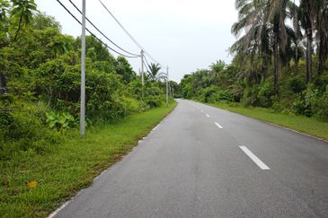 Agriculture Land @ Bukit Merah, Semanggol Perak