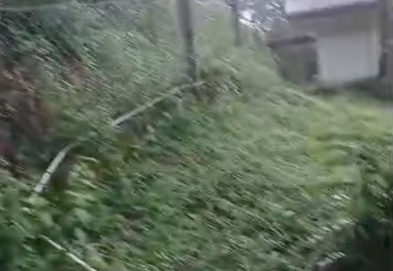 Agriculture Land @ Pekan Kerling, Hulu Selangor 