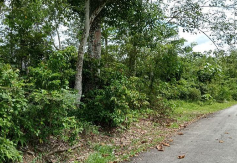 Agriculture Land @ Pekan Kerling, Hulu Selangor 