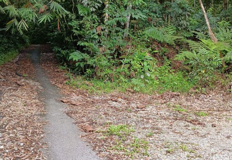 Agriculture Land @ Pekan Kerling, Hulu Selangor 
