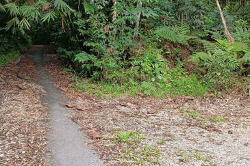 Agriculture Land @ Pekan Kerling, Hulu Selangor 