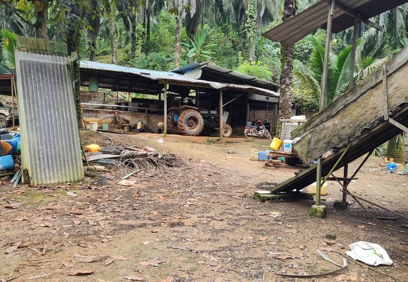 Oil Palm Land @ Sg Jang Kerling, Hulu Selangor 