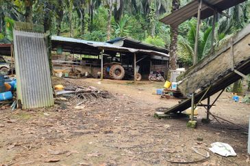 Oil Palm Land @ Sg Jang Kerling, Hulu Selangor 