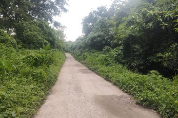 Industry Land @ Batang Kali Selangor 