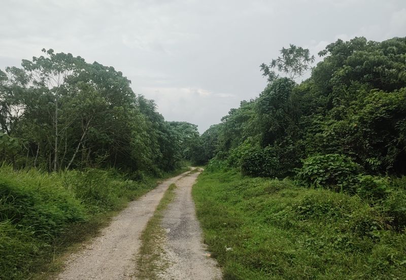 Industry Land @ Batang Kali Selangor 